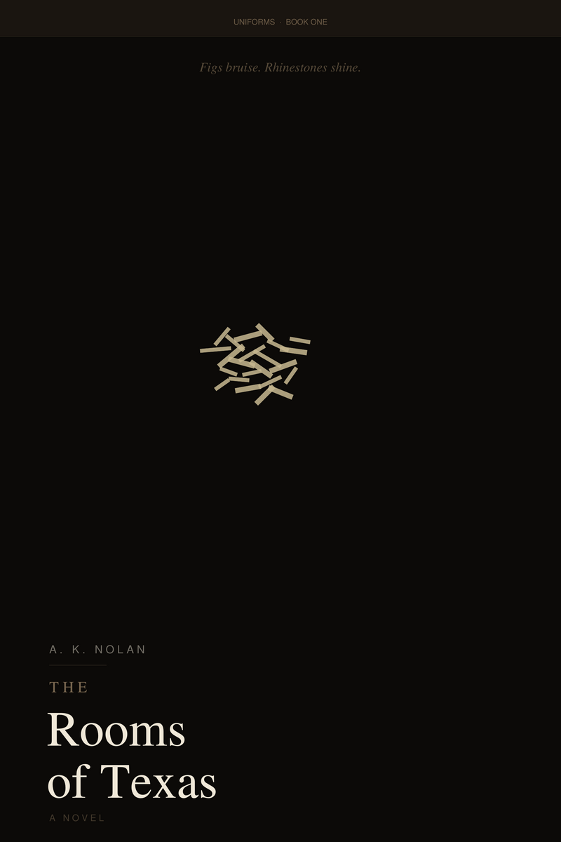 The Rooms of Texas cover